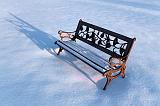 Snowed-In Park Bench_11613